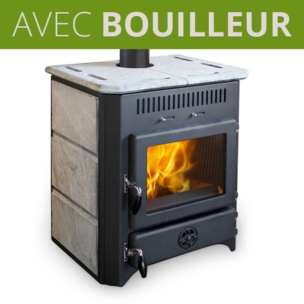 Poêle à bois bouilleur Thermovulkan 20 kW Poêle à bois bouilleur Thermovulkan 20 kW