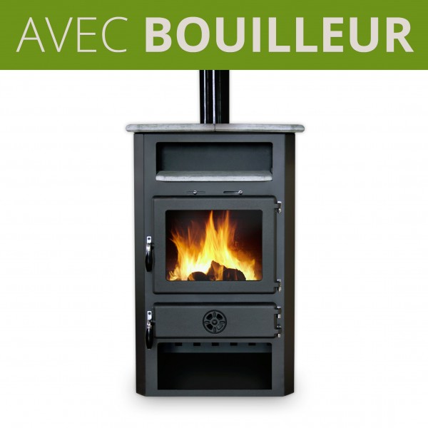 Poele A Bois Avec Bouilleur Mbs Thermo In